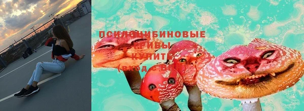 хмурый Армянск