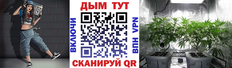 darknet состав  Советск  Марихуана Amnesia 
